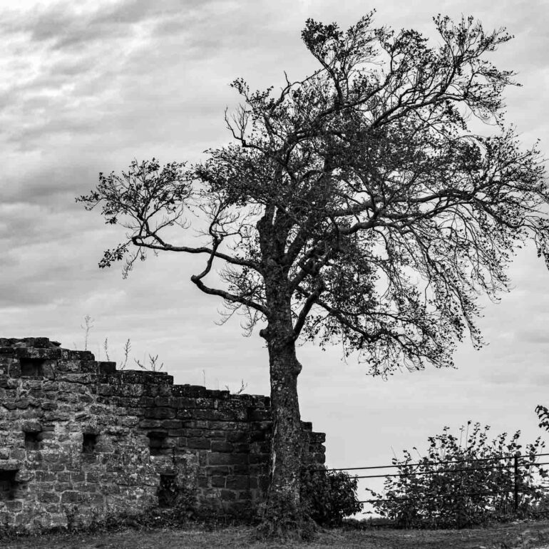 Burgruine Lindelbrunn, Pfalz