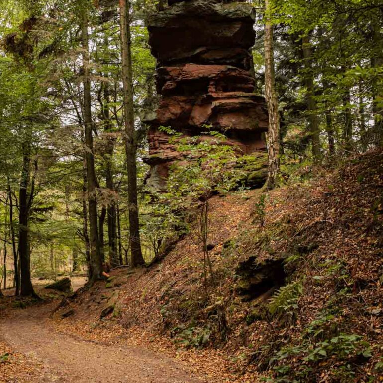 Felsen in der Pfalz
