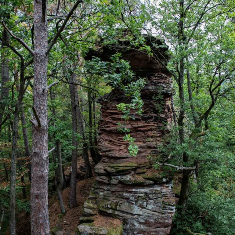Felsen in der Pfalz