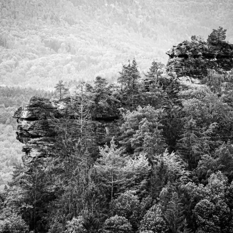 Felsen in der Pfalz