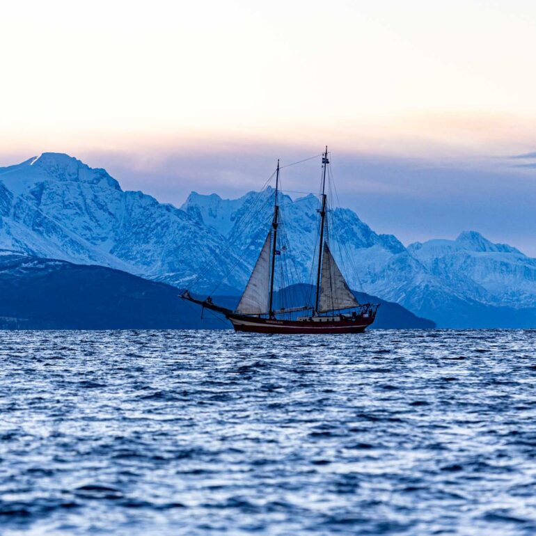 Fjord in Troms
