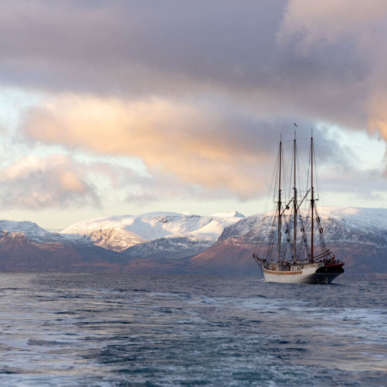 Fjord in Troms