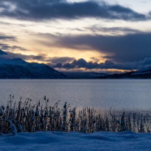 Fjord in Troms