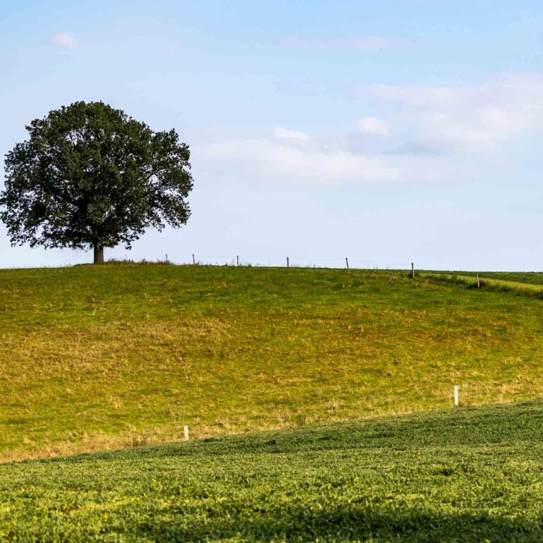 Rund um Prenzlau