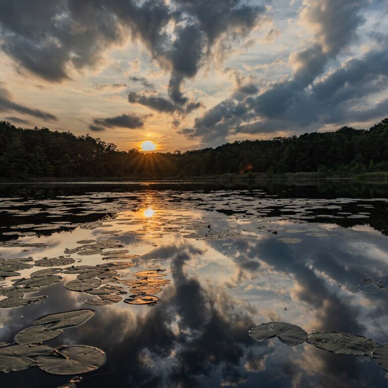 Sonnenuntergang am Küchenteich Schloss Boitzenburg