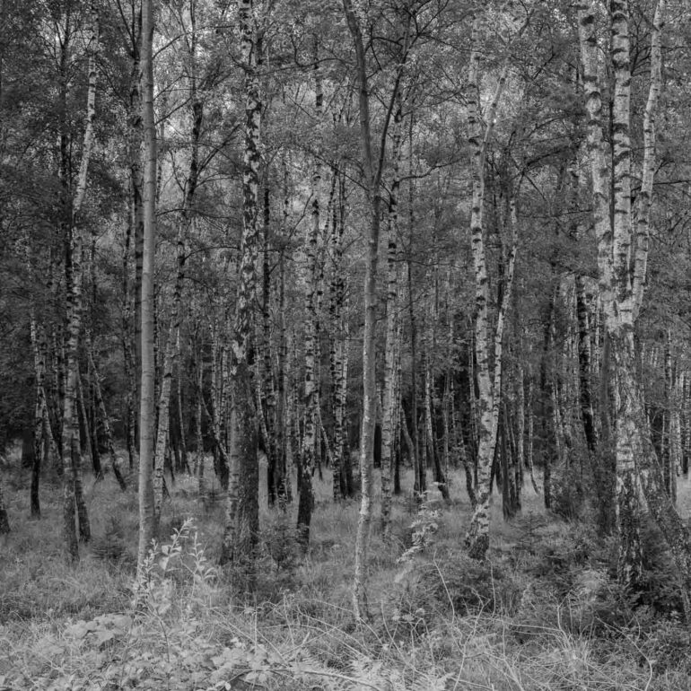 Impression der Etappen 1-4 Kornelimünster - Gemünd