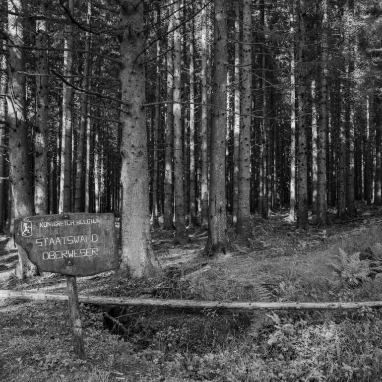 Impression der Etappen 1-4 Kornelimünster - Gemünd