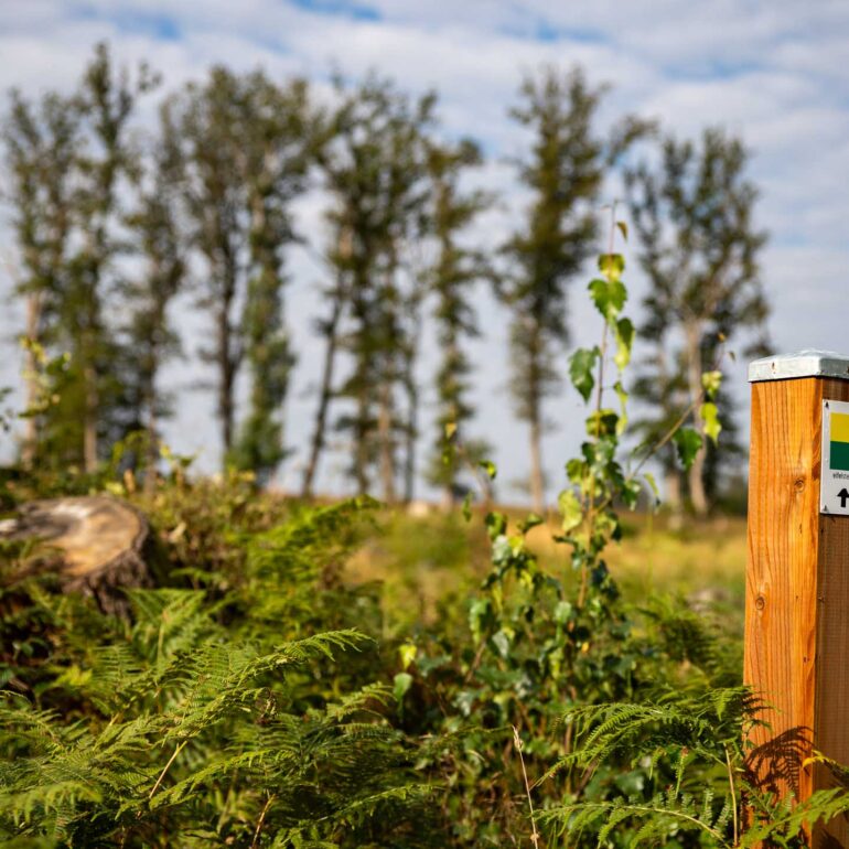 Impression der Etappen 1-4 Kornelimünster - Gemünd