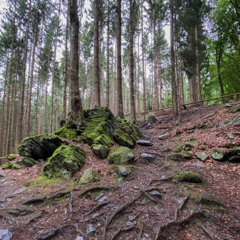 Impression der Etappen 1-4 Kornelimünster - Gemünd