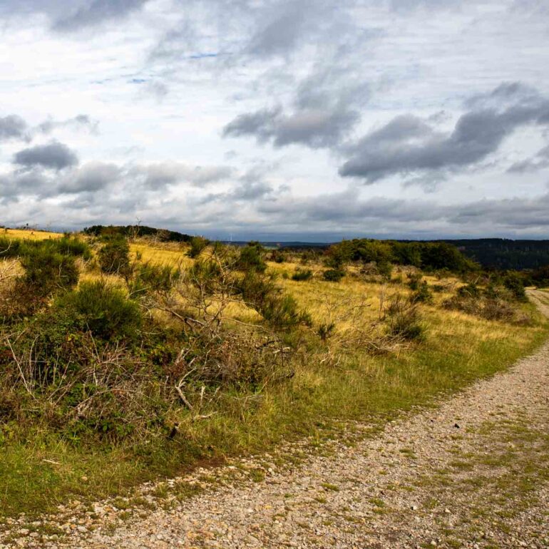 Wandern EifelsImpression der Etappen 1-4 Kornelimünster - Gemündteig