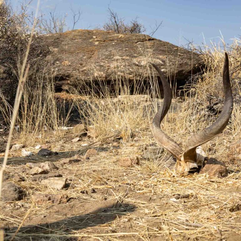 Onjala Lodge, Namibia