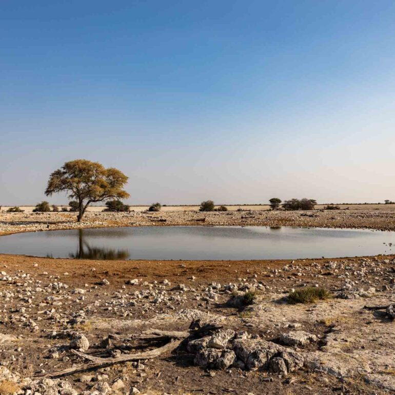 Etosha Nationalpark, Namibia