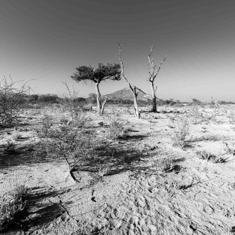Etendero Farm, Erongogebirge, Namibia