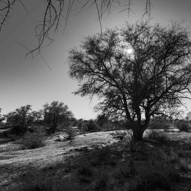 Etendero Farm, Erongogebirge, Namibia