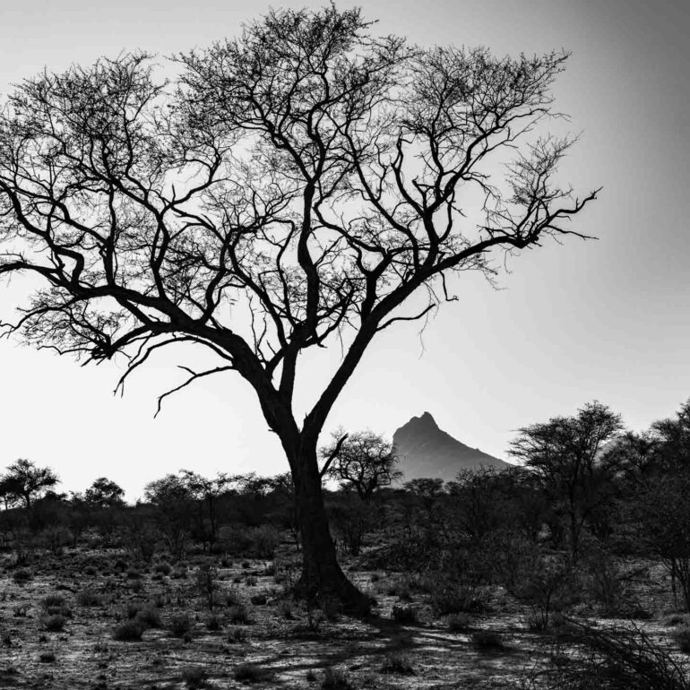 Etendero Farm, Erongogebirge, Namibia