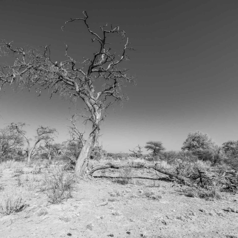 Etendero Farm, Erongogebirge, Namibia