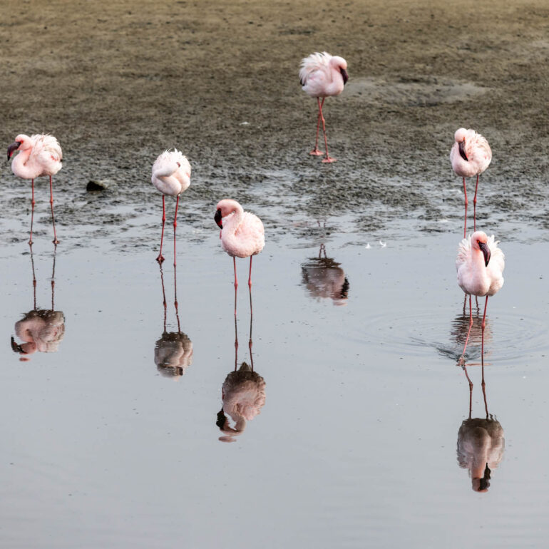 Walfisch Bay, Namibia