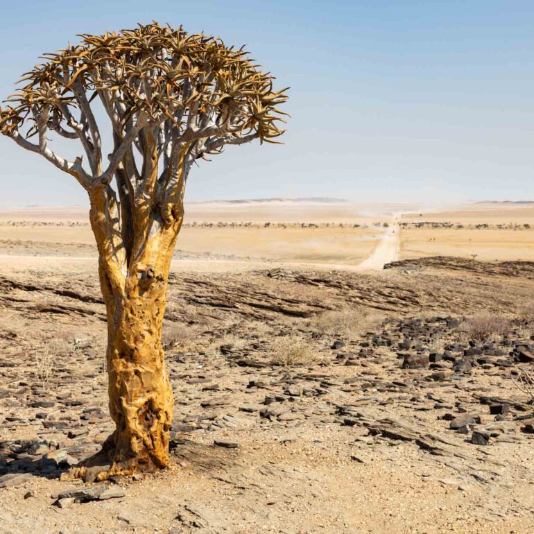 Naukluft Nationalpark, Namibia