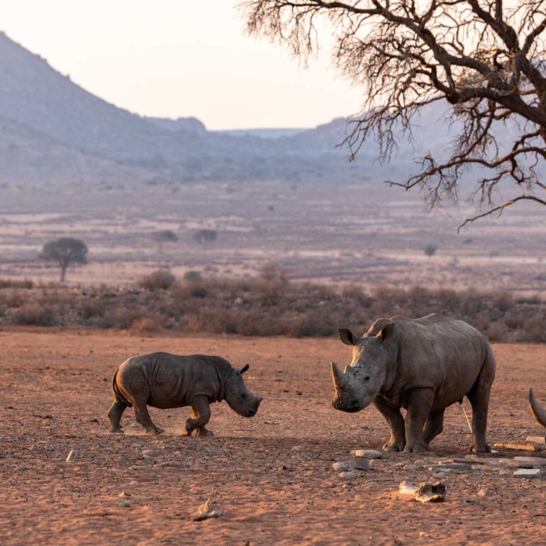 We-Kebi Lodge, Namibia