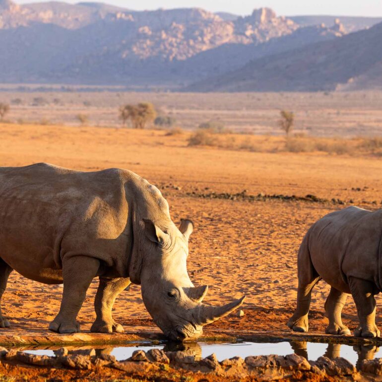 We-Kebi Lodge, Namibia