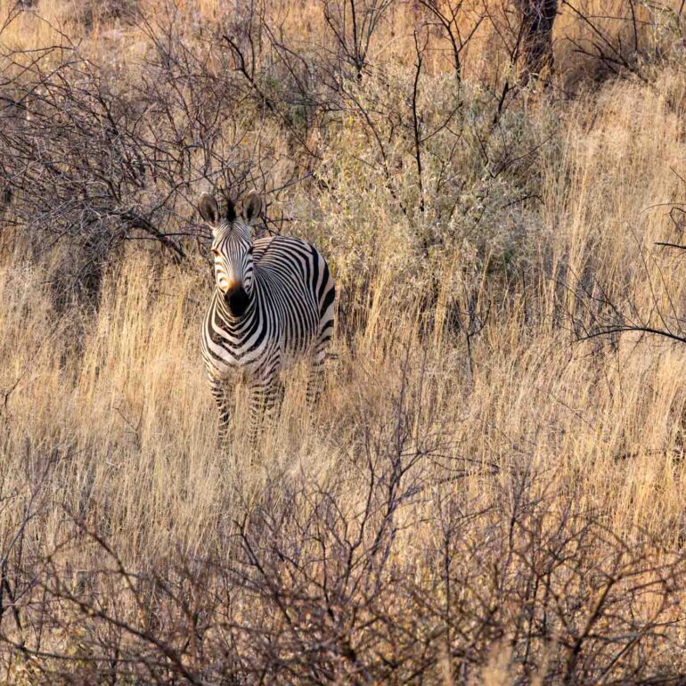 Onjala Lodge, Namibia